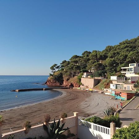Loft Climatise "La Pinede", 50 M2, Tres Calme, 5 Mn A Pied Des Plages, Lit King Size La Seyne-sur-Mer Exterior photo